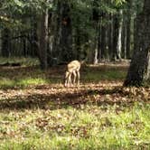 Review photo of Chester Frost Park by Kara P., August 30, 2018