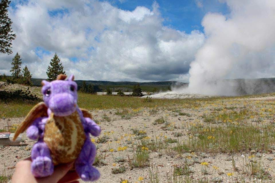 Camper submitted image from Mammoth Campground — Yellowstone National Park - 5