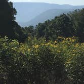 Review photo of Kentuck Campground — Ohiopyle State Park by Kate C., August 30, 2018