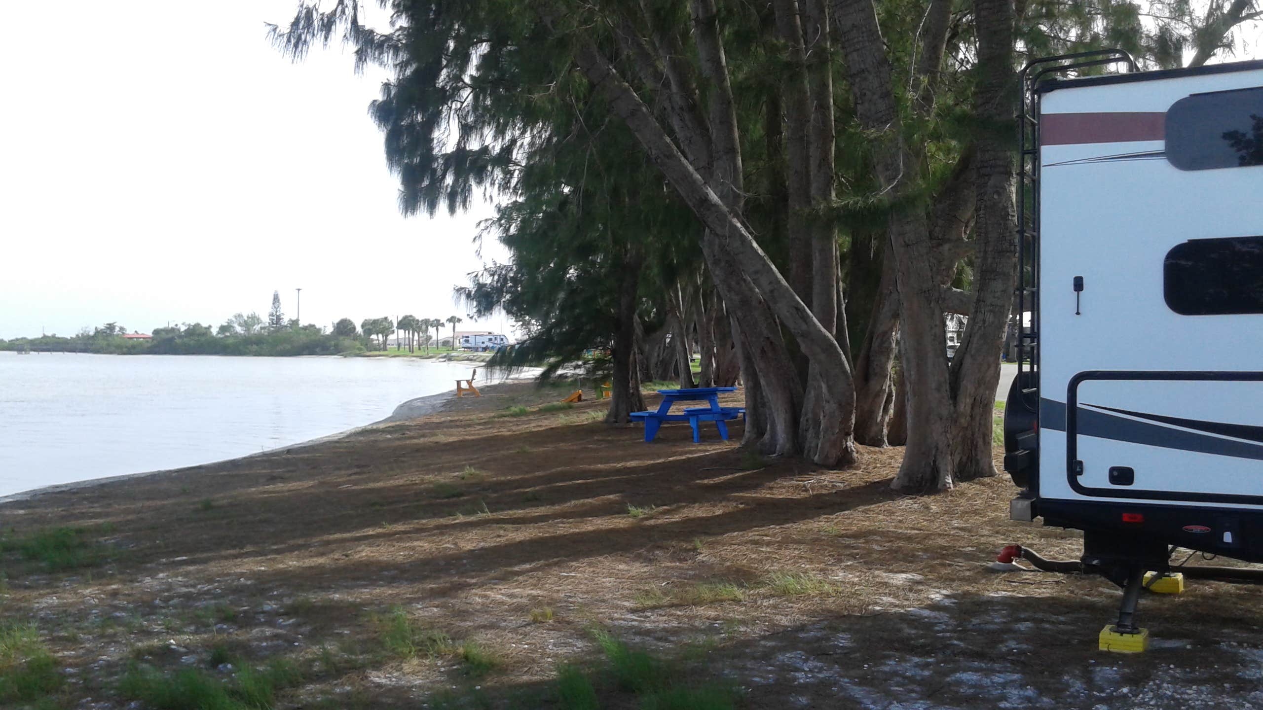 Camper submitted image from Manatee Cove Family Campground at Patrick Air Force Base - 5