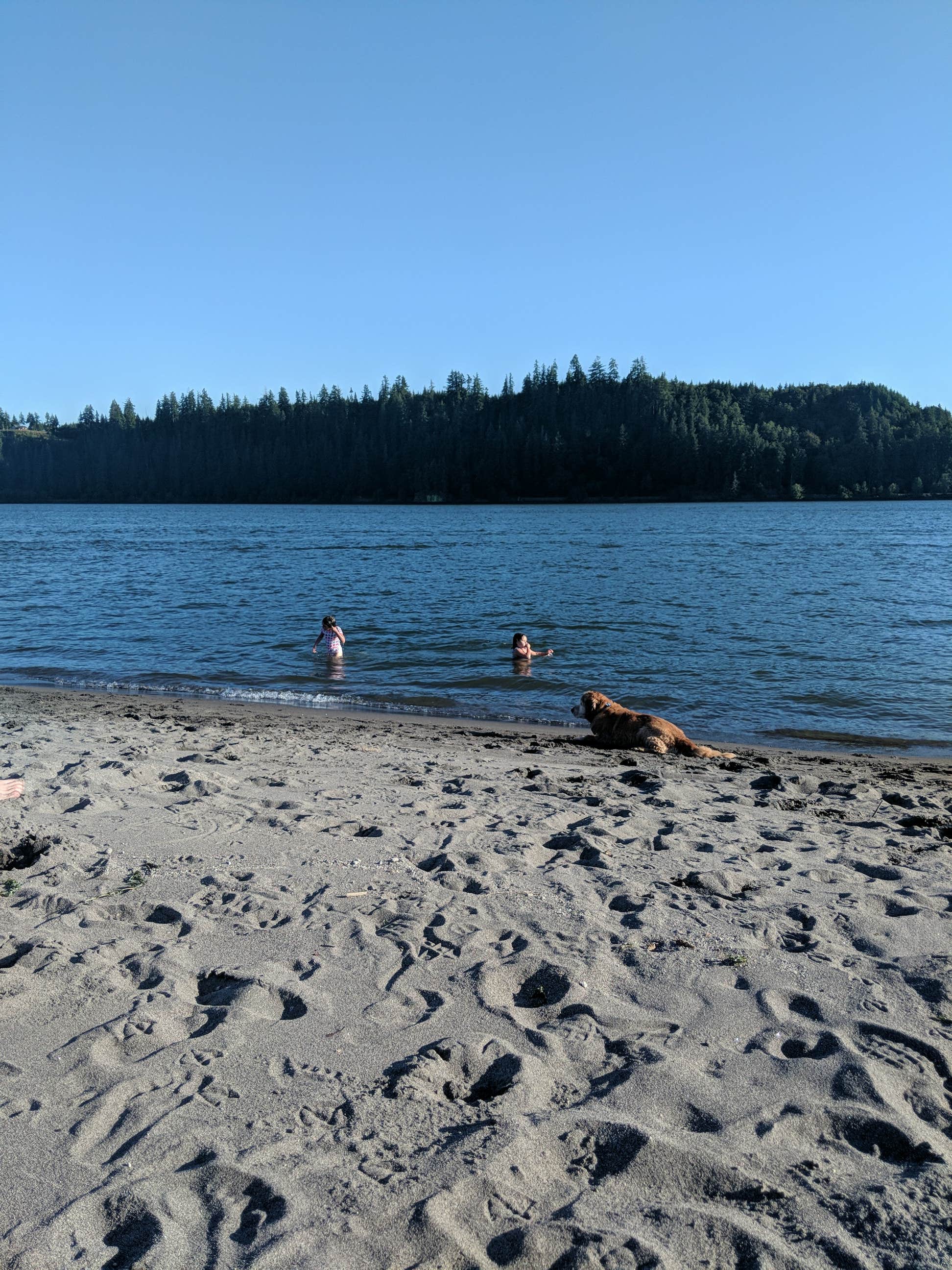 Camper-submitted photo at Elochoman Marina near Cathlamet, WA