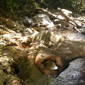 Review photo of Moosalamoo Campground by Michelle R., August 30, 2018