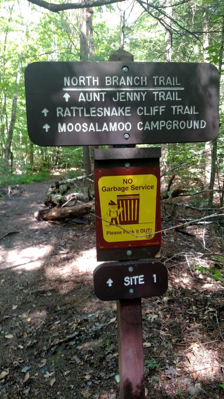 Camper submitted image from Moosalamoo Campground - 5