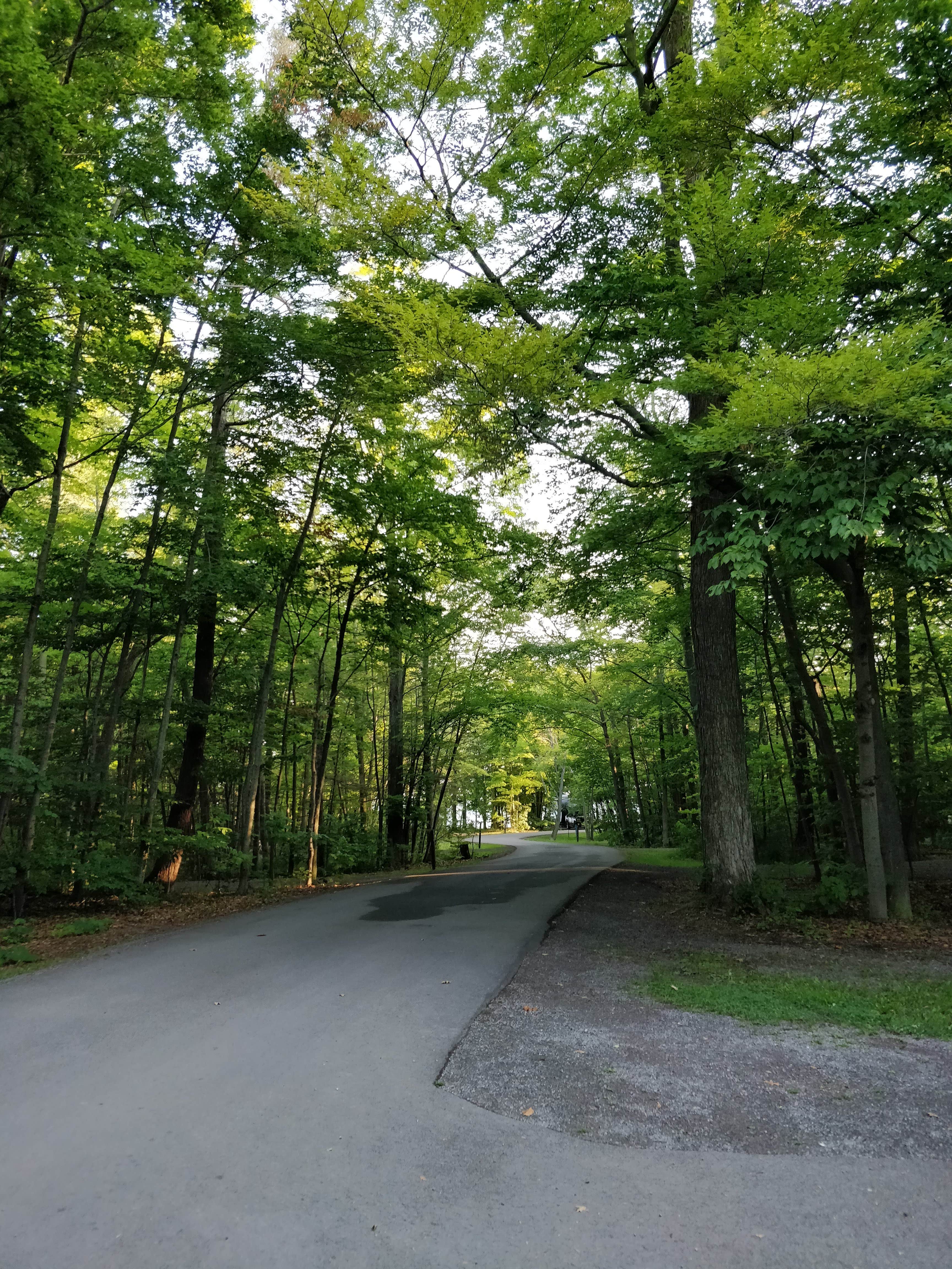 Camper-submitted photo at Lakeside State Park Campground near Adams Basin, NY