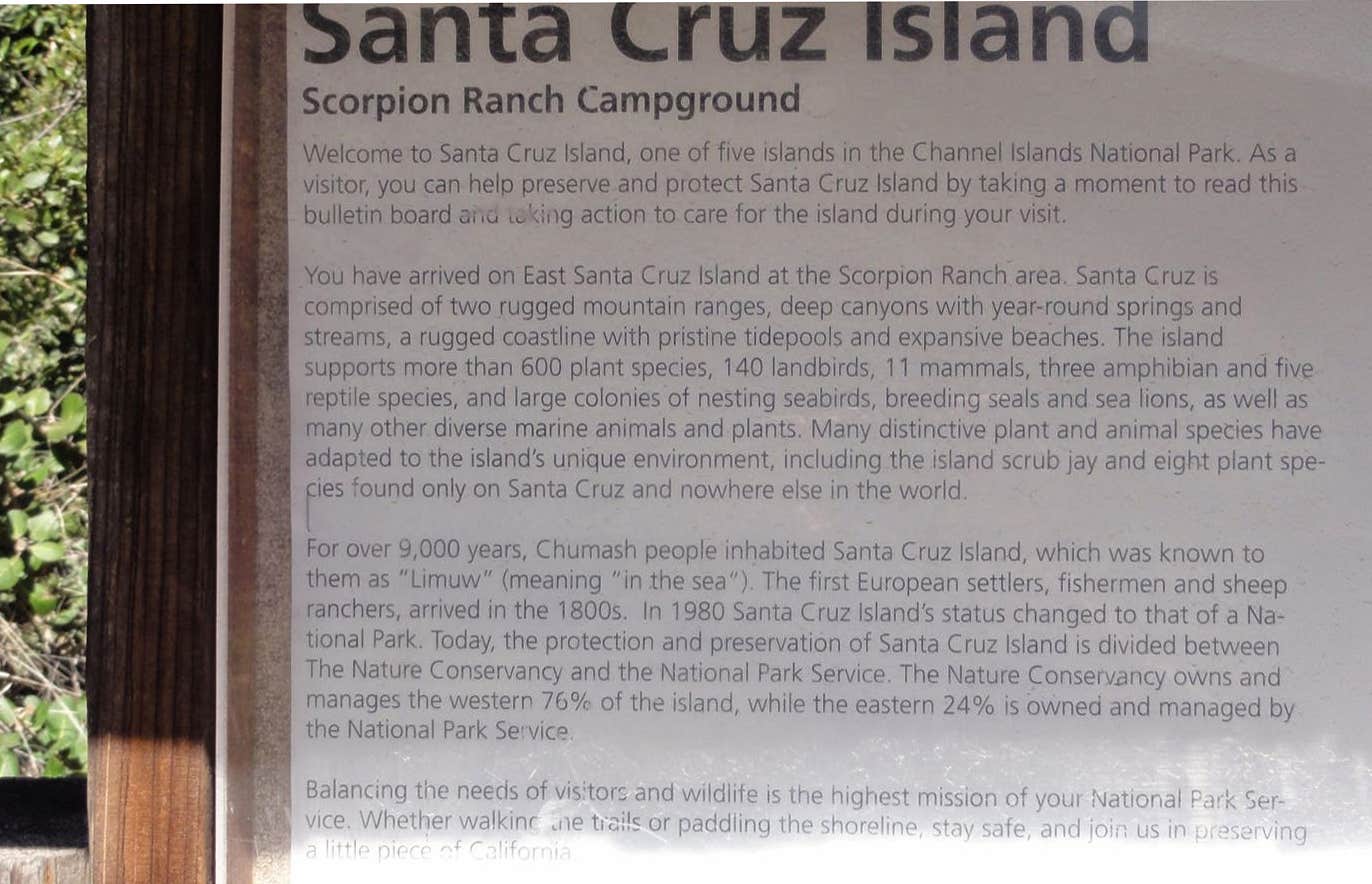 Camper submitted image from Santa Cruz Island Scorpion Canyon Campground — Channel Islands National Park - 5