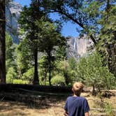 Review photo of Upper Pines Campground — Yosemite National Park by Corinna B., June 30, 2018