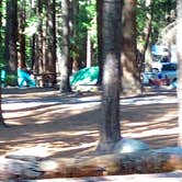 Review photo of Upper Pines Campground — Yosemite National Park by Corinna B., June 30, 2018