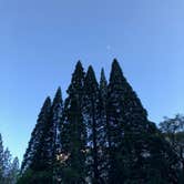Review photo of Upper Pines Campground — Yosemite National Park by Corinna B., June 30, 2018