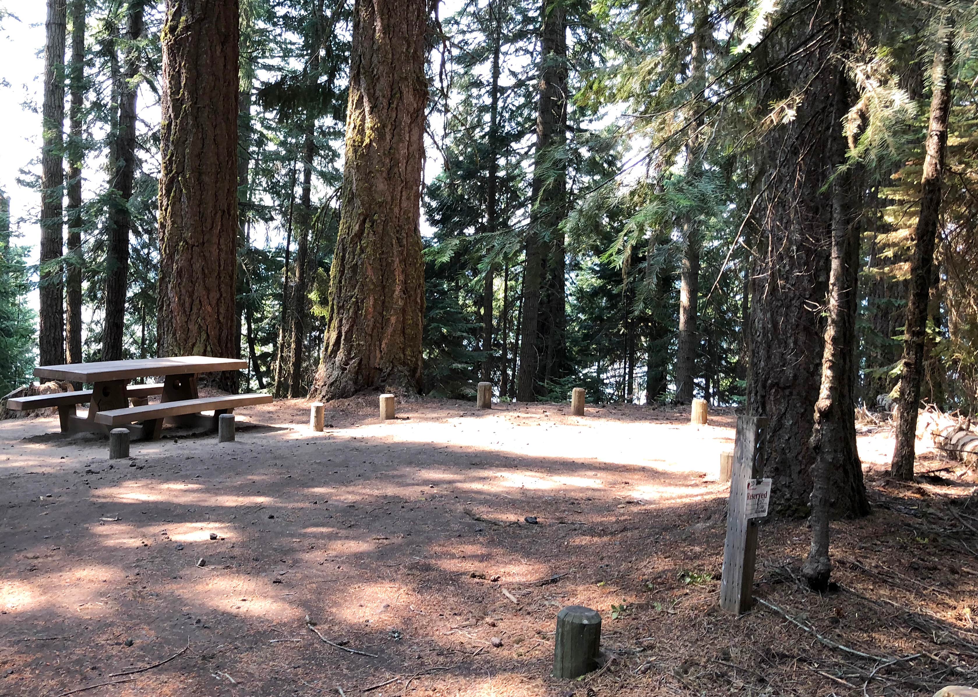 Nice, largish camp sites