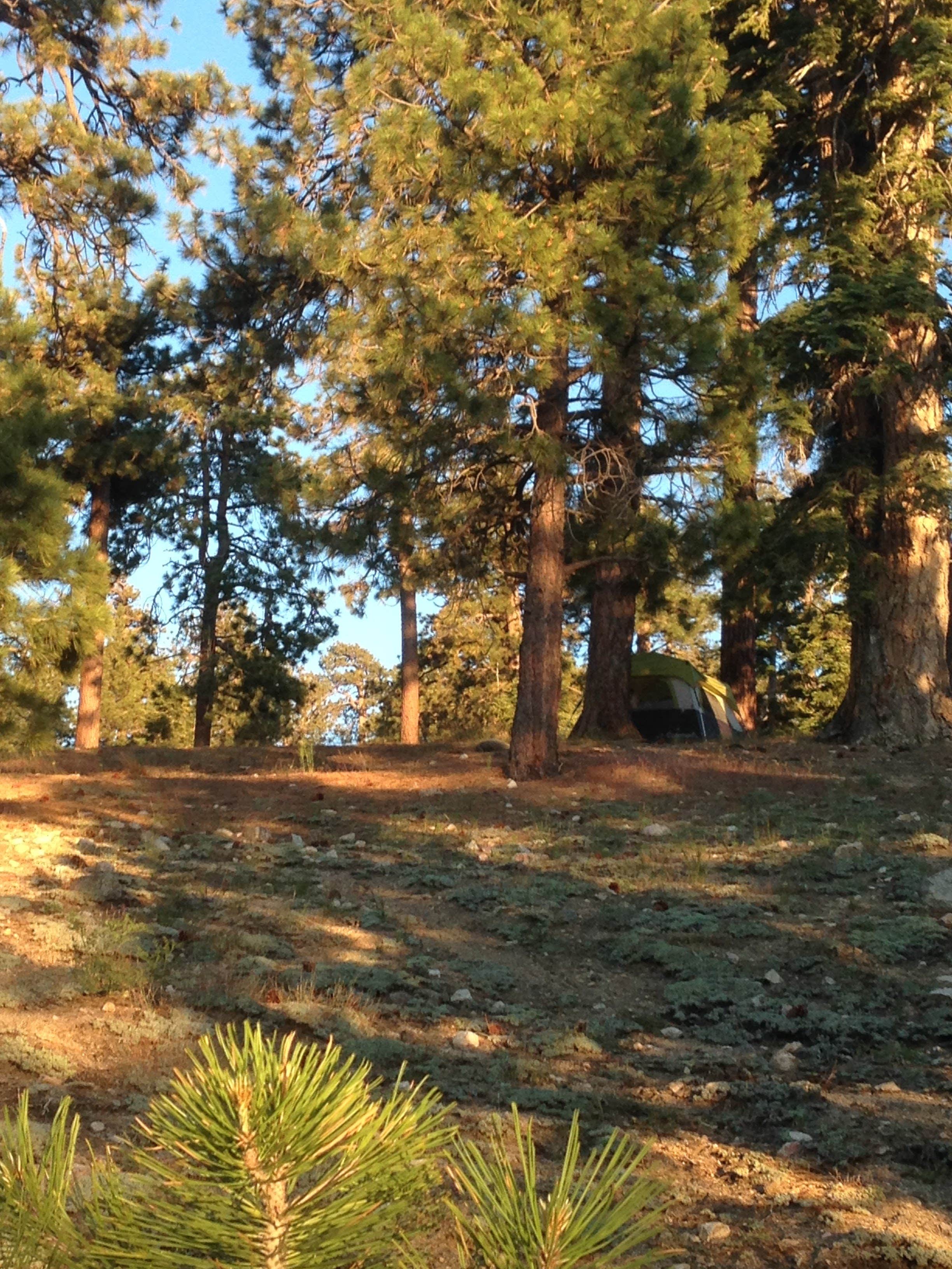 Camper-submitted photo at Table Mountain Campground near Mount Baldy, CA