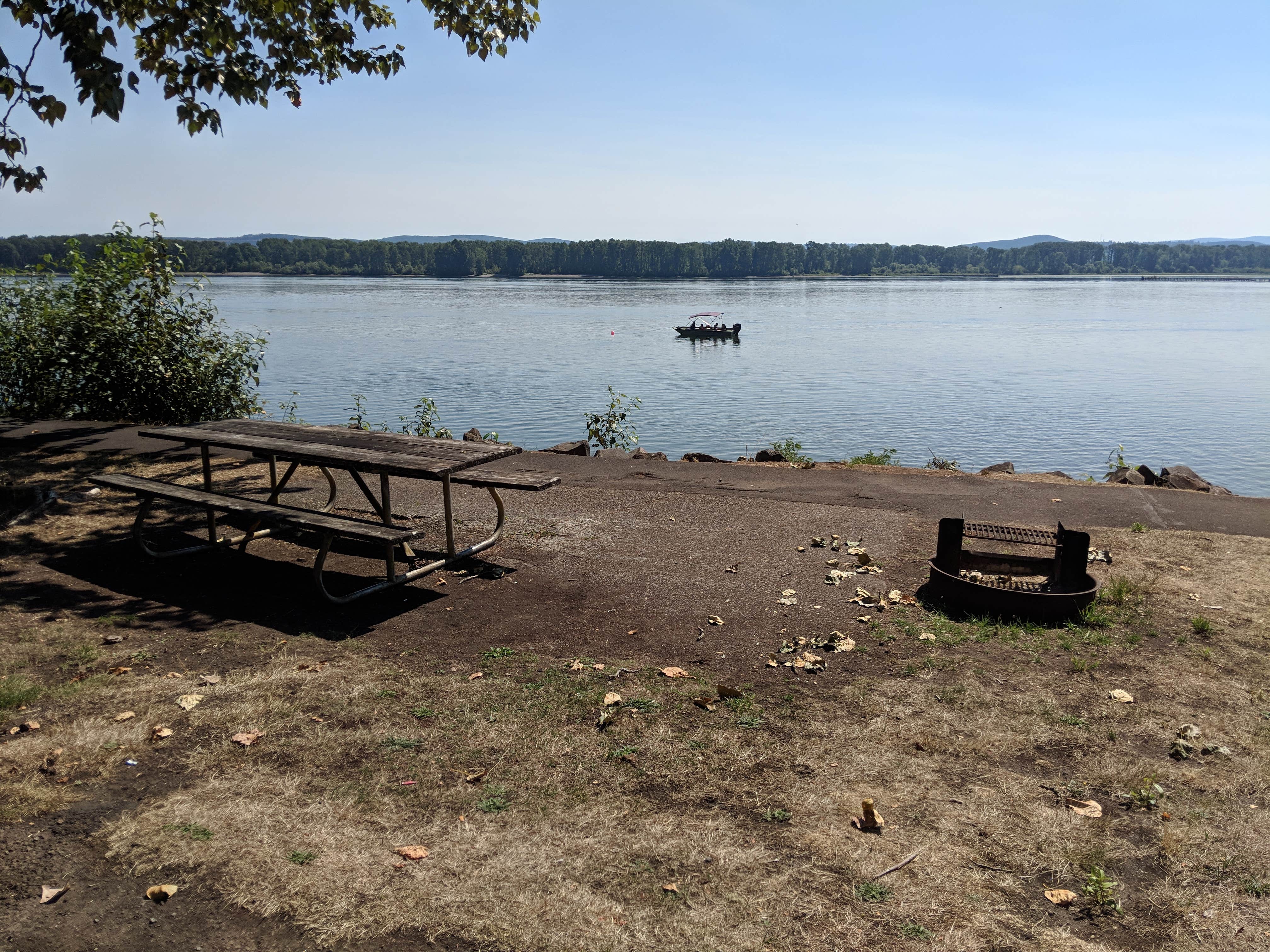 Camper-submitted photo at County Line Park near Clatskanie, OR