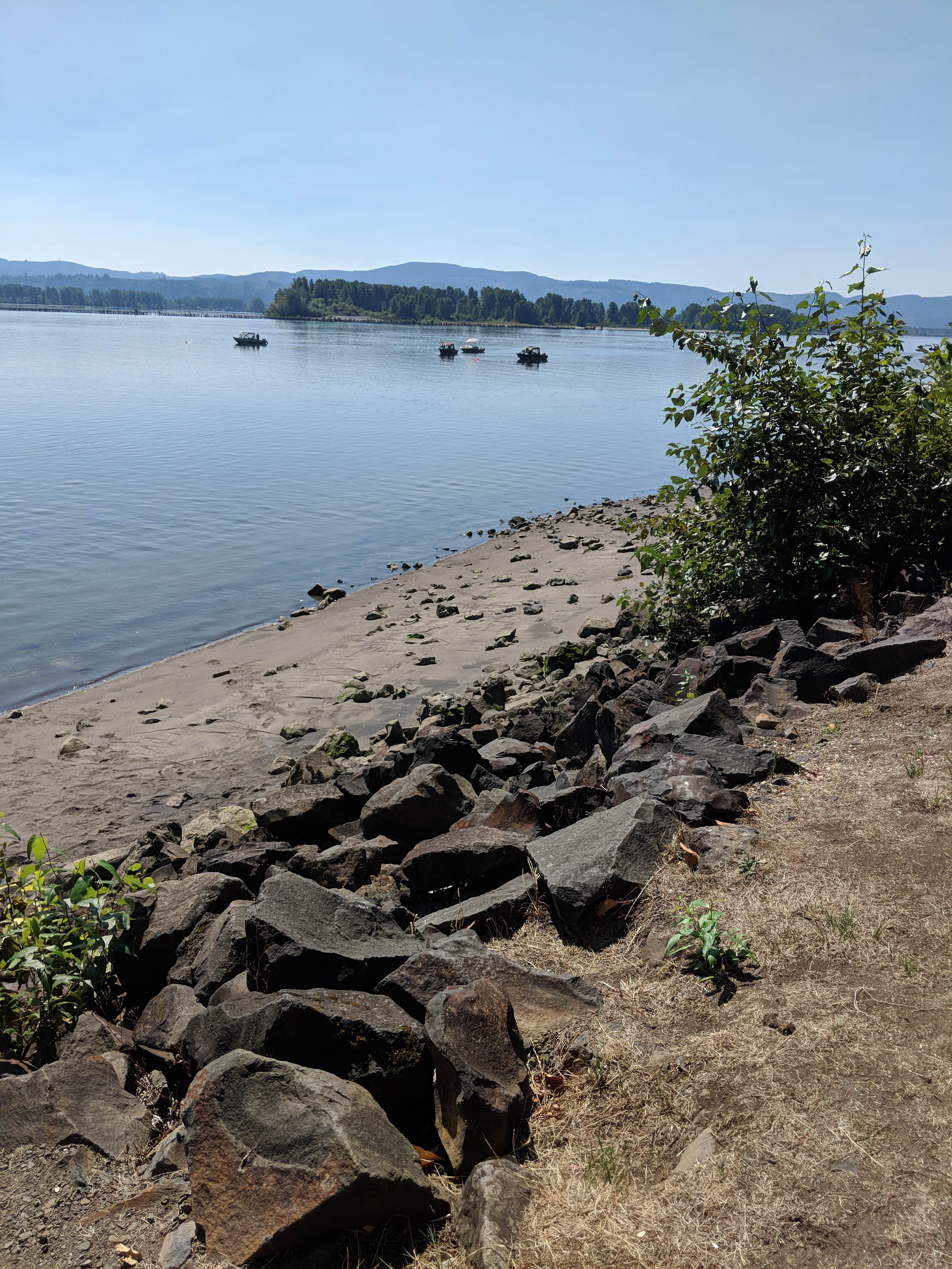 Camper-submitted photo at County Line Park near Clatskanie, OR