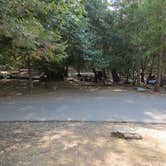 Review photo of Palomar Mountain State Park Campground by Michelle C., August 30, 2018