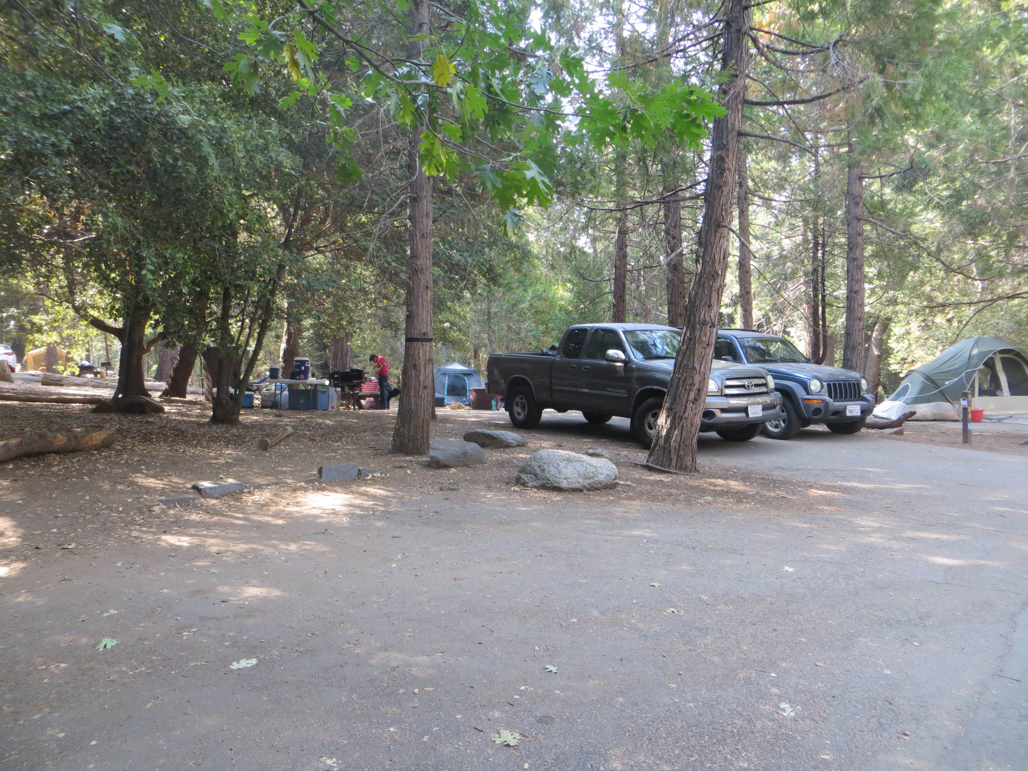 Camper-submitted photo at Palomar Mountain State Park Campground near Aguanga, CA