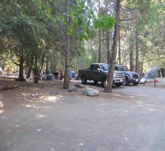Camper-submitted photo from Palomar Mountain State Park Campground