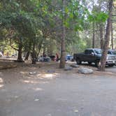 Review photo of Palomar Mountain State Park Campground by Michelle C., August 30, 2018