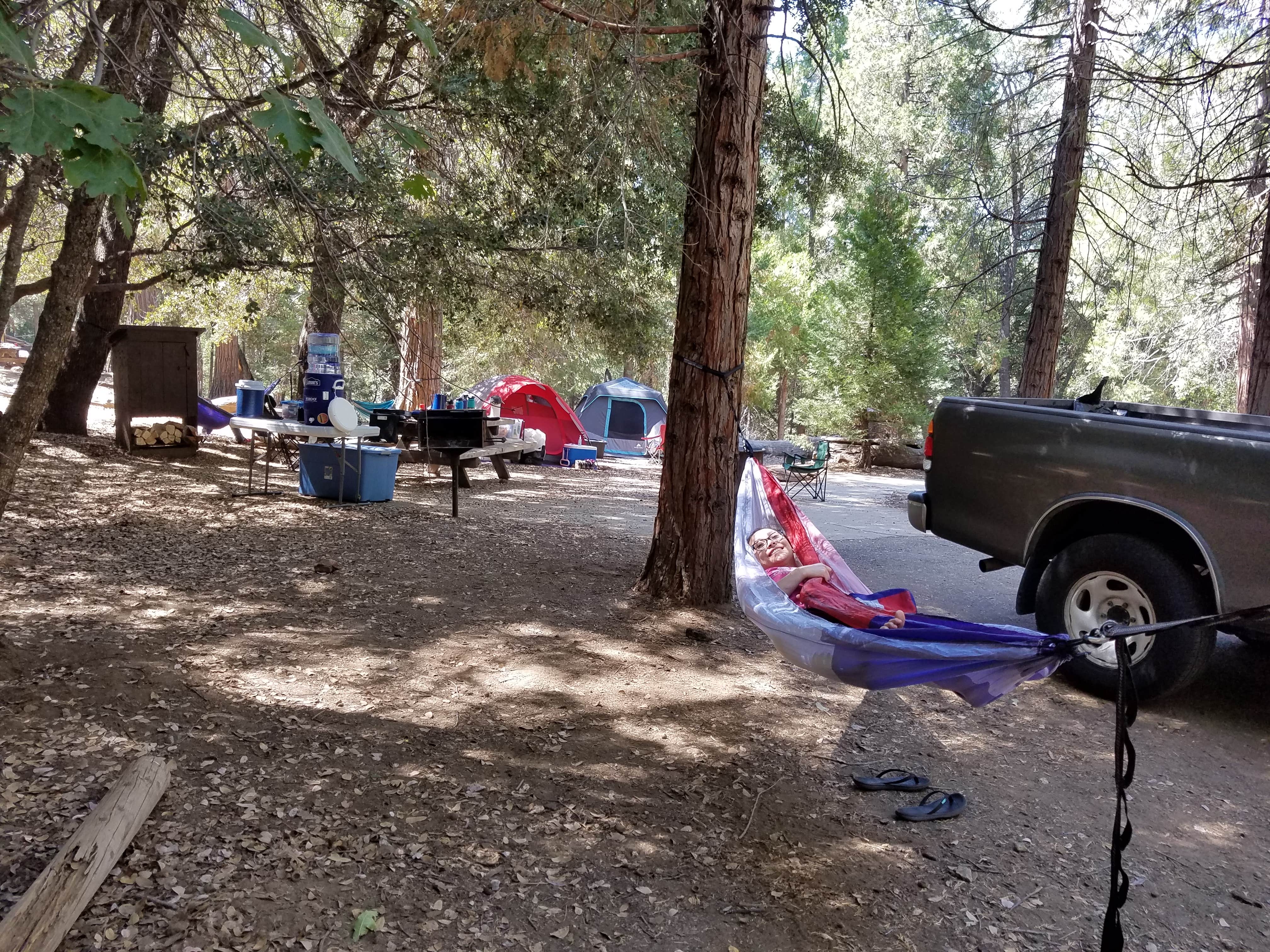 Michelle C.'s photo at Palomar Mountain State Park Campground near Aguanga, CA