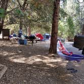 Review photo of Palomar Mountain State Park Campground by Michelle C., August 30, 2018