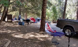 Michelle C.'s photo at Palomar Mountain State Park Campground near Aguanga, CA