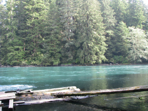 Camper-submitted photo at Kentucky River Campground near Frankfort, KY