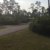 Review photo of Long Pine Key Campground — Everglades National Park by dan N., August 1, 2016