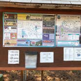 Review photo of Armitage Park & Campground - a Lane County Park by Brian C., August 30, 2018