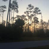 Review photo of Long Pine Key Campground — Everglades National Park by dan N., August 1, 2016