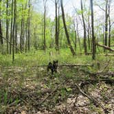 Review photo of Sleepy Hollow State Park Campground by Magy C., August 30, 2018