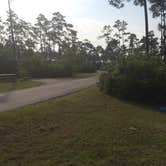 Review photo of Long Pine Key Campground — Everglades National Park by dan N., August 1, 2016