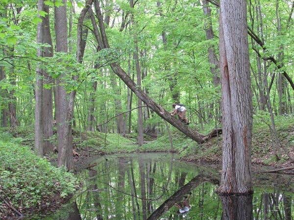 Sleepy Hollow State Park Campground