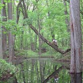 Review photo of Sleepy Hollow State Park Campground by Magy C., August 30, 2018