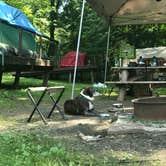 Review photo of Rudd Pond Area — Taconic State Park by Rosie R., August 30, 2018