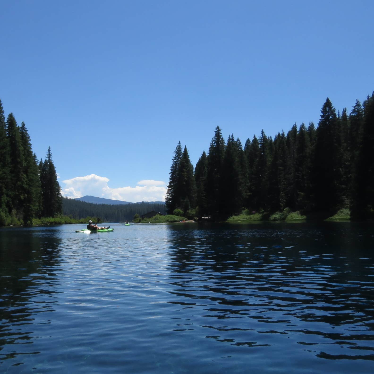 Clear Lake Resort Camping | The Dyrt