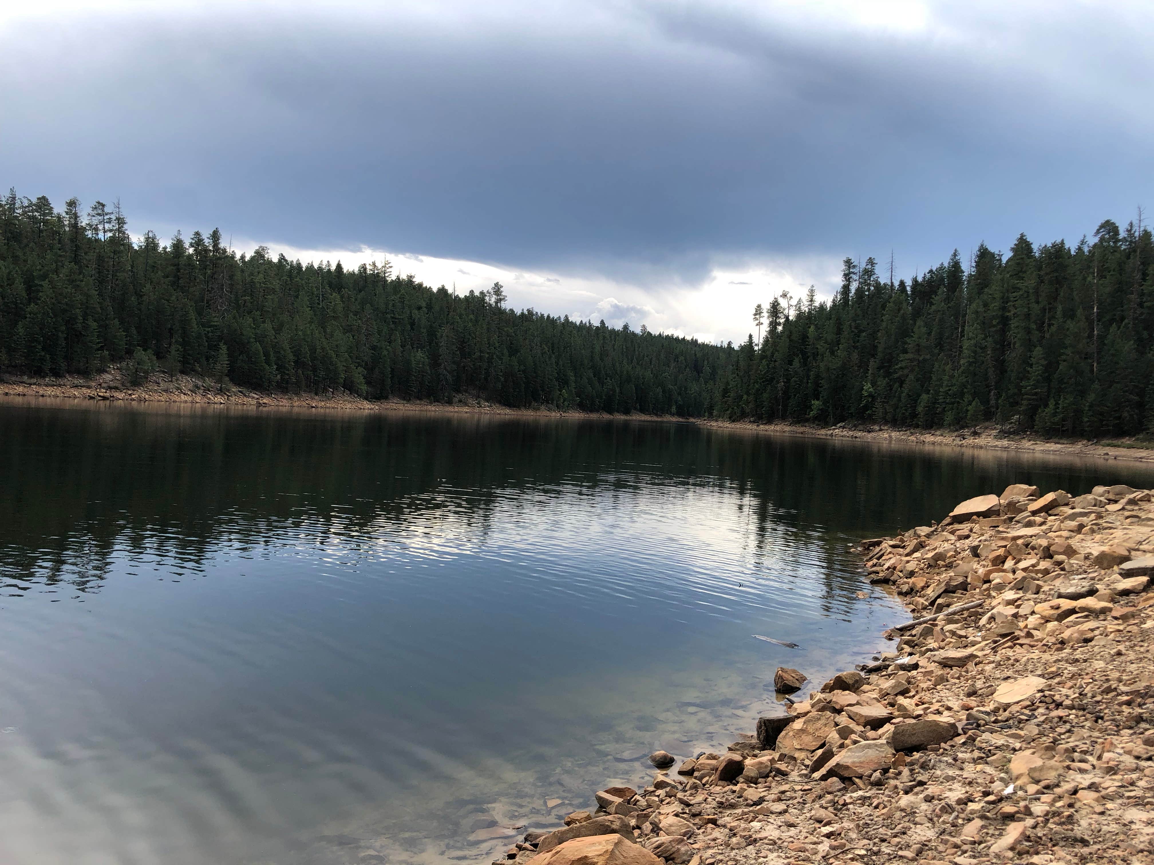 Jennifer B.'s photo of a dispersed camping area at Bear Canyon Lake and Camping Area near Winslow, AZ