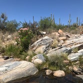 Review photo of Manning Camp — Saguaro National Park by Crystal C., August 30, 2018