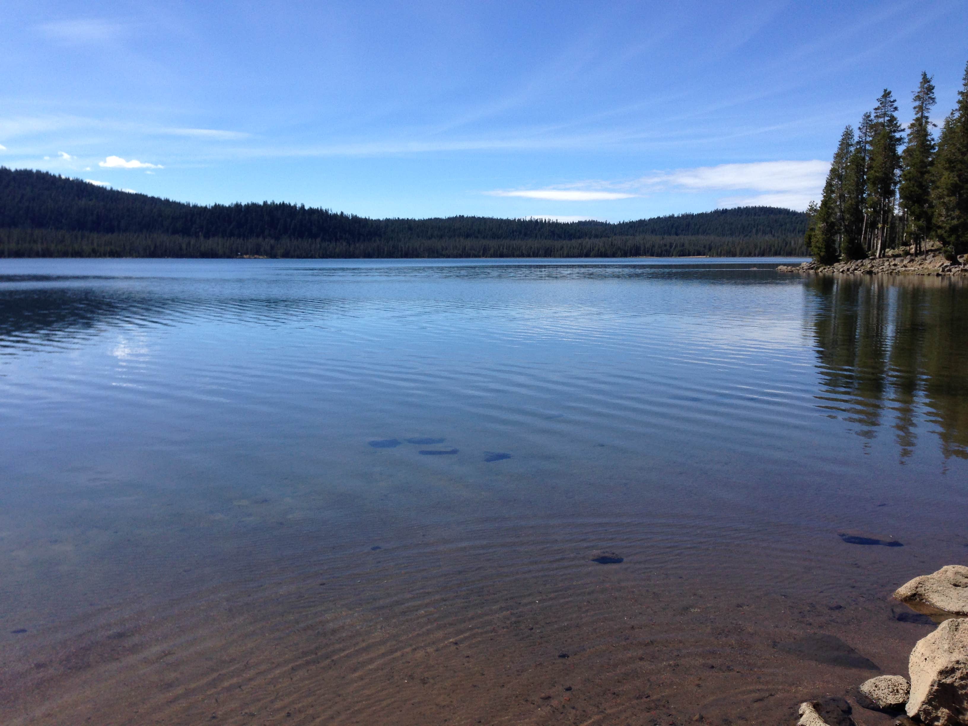 Camper submitted image from Medicine Lake Recreation Area - 3