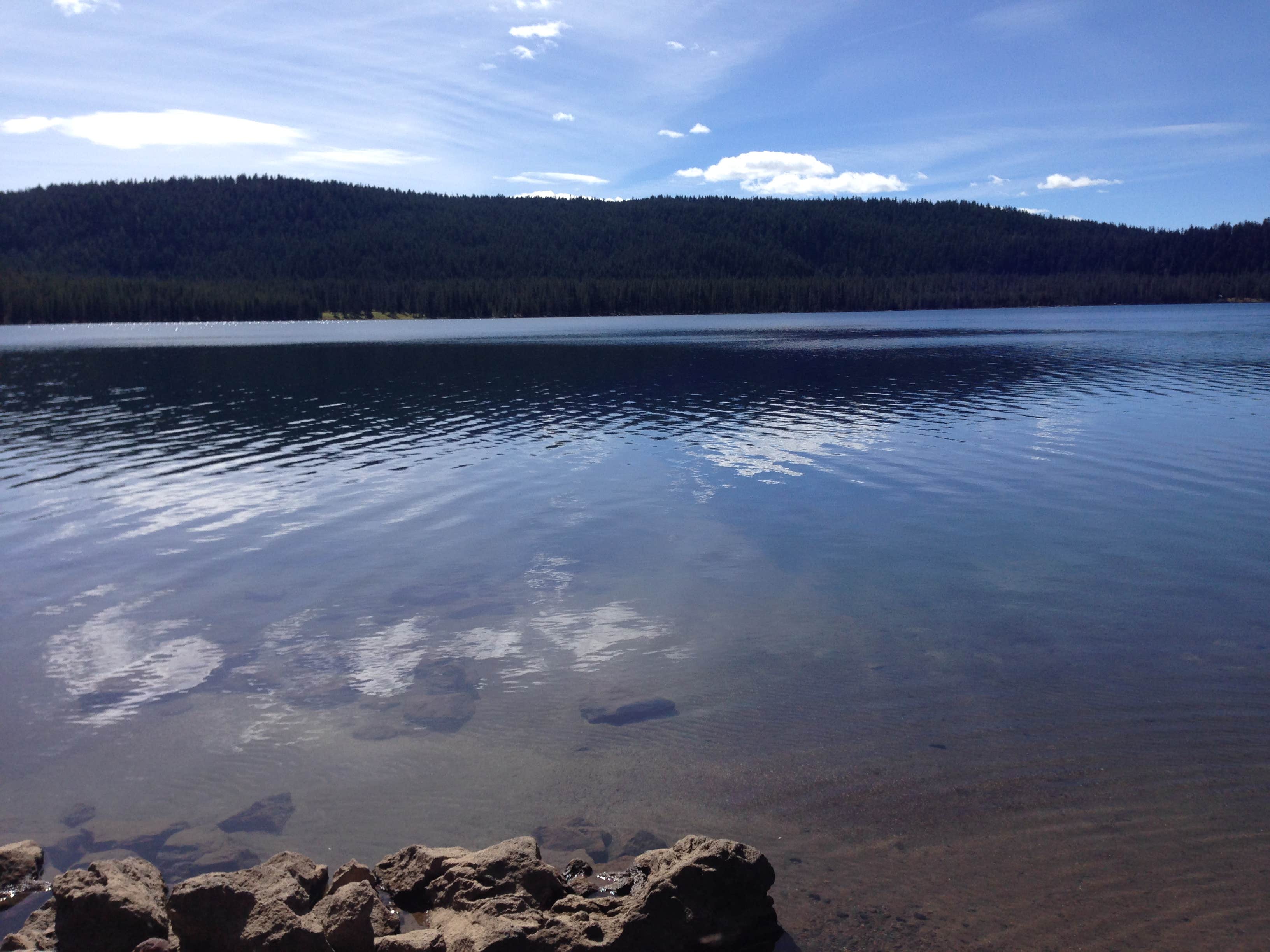 Camper submitted image from Medicine Lake Recreation Area - 2