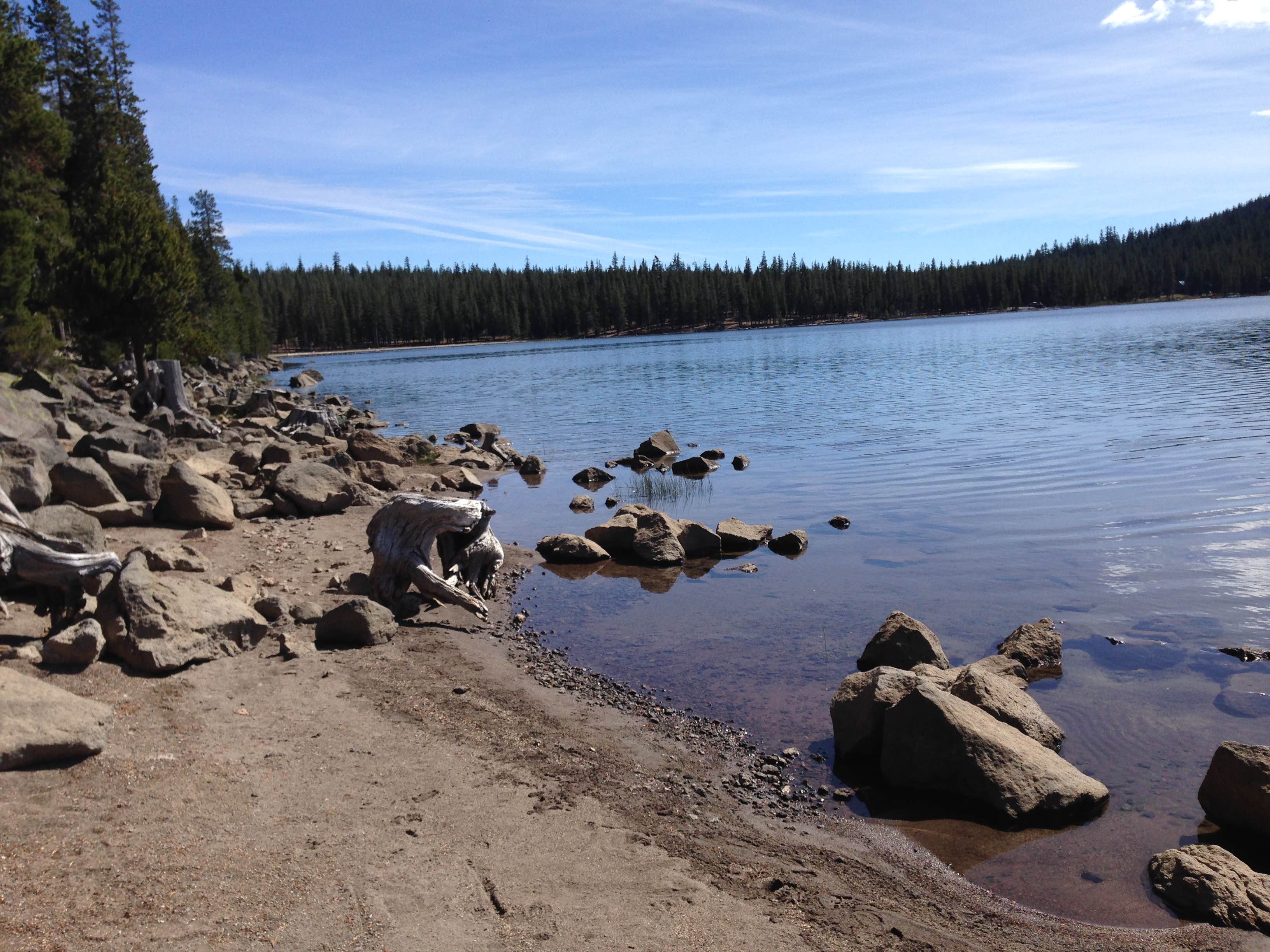 Medicine Lake Recreation Area The Dyrt