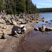 Review photo of Medicine Lake Recreation Area by Renee W., August 30, 2018