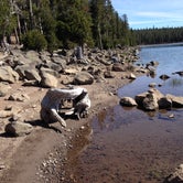 Review photo of Medicine Lake Recreation Area by Renee W., August 30, 2018