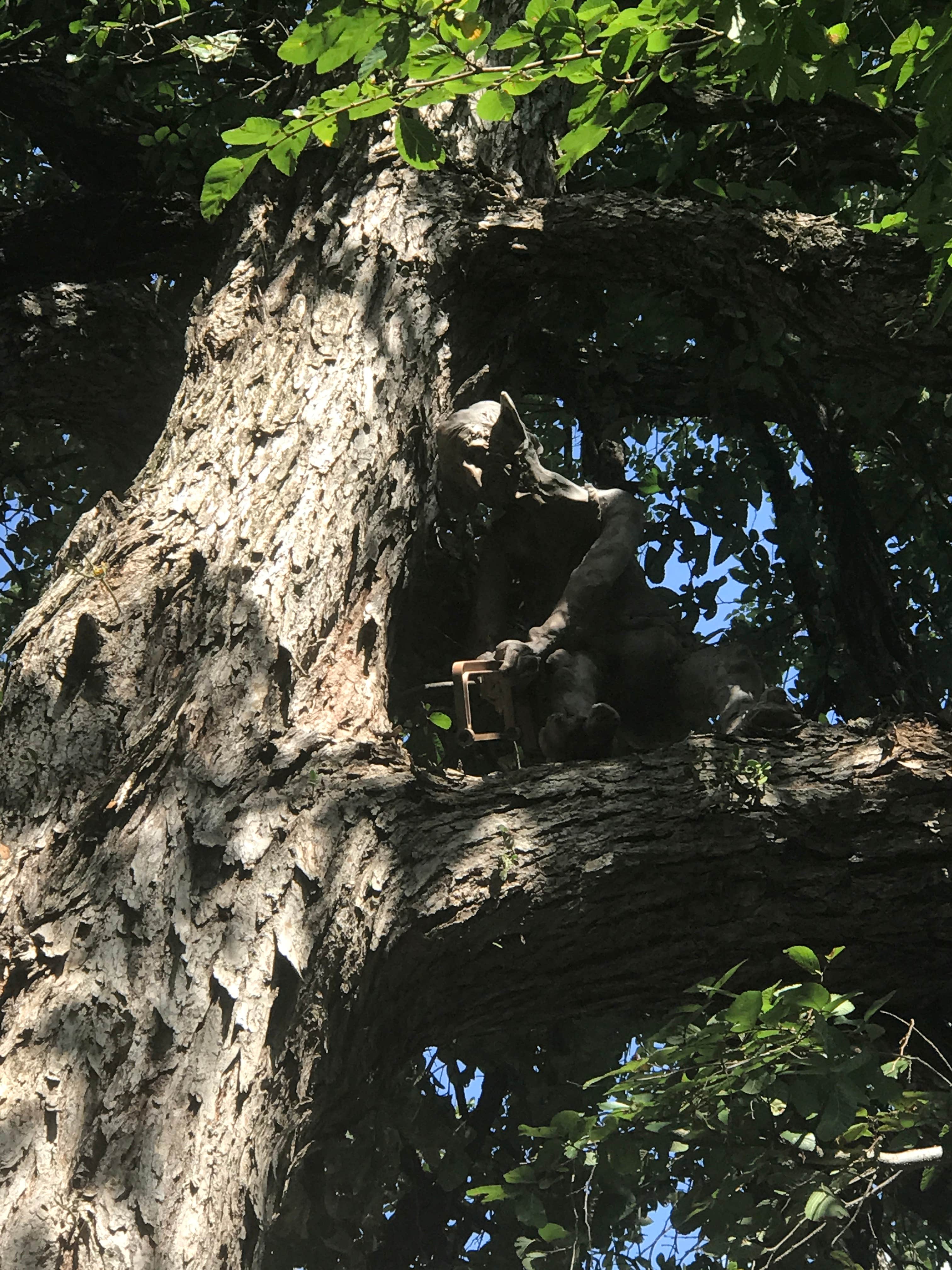 Camper-submitted photo at Stillhouse near Copperas Cove, TX