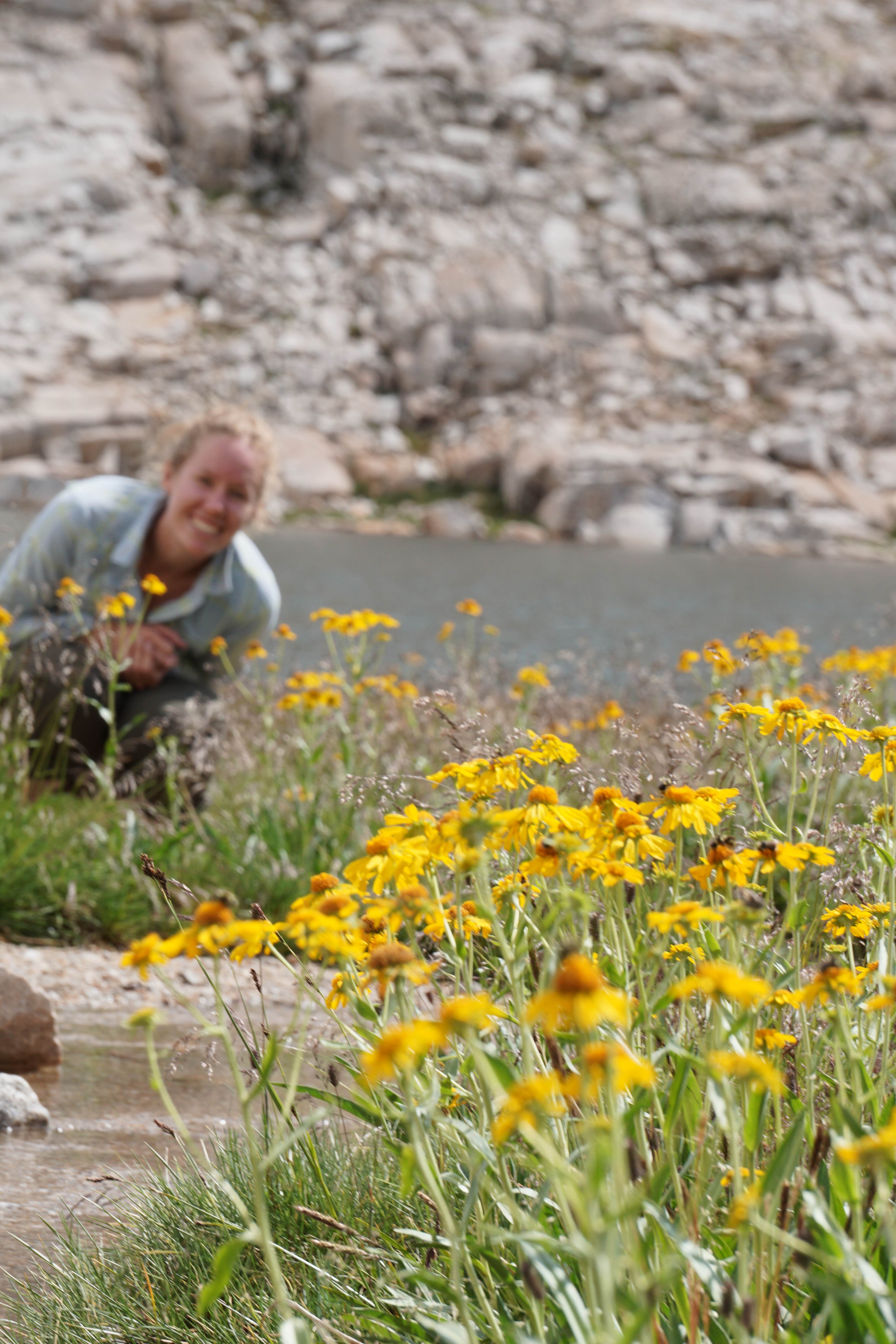 Camper submitted image from Guitar Lake Backcountry — Sequoia National Park - 3