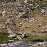 Review photo of Guitar Lake Backcountry — Sequoia National Park by Brittany N., August 30, 2018