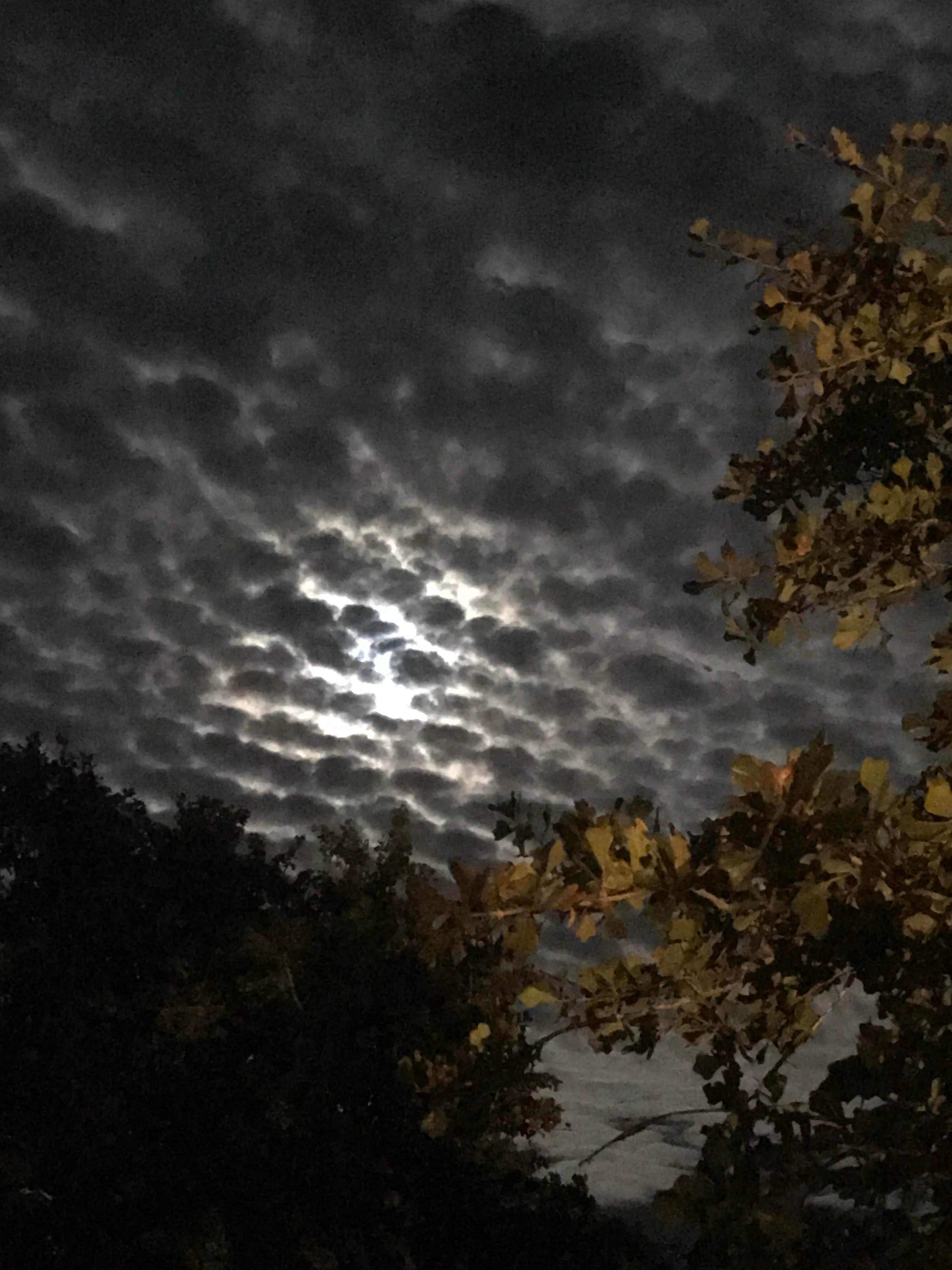 Camper-submitted photo at Marietta Landing Campground — Lake Murray State Park near Marietta, OK