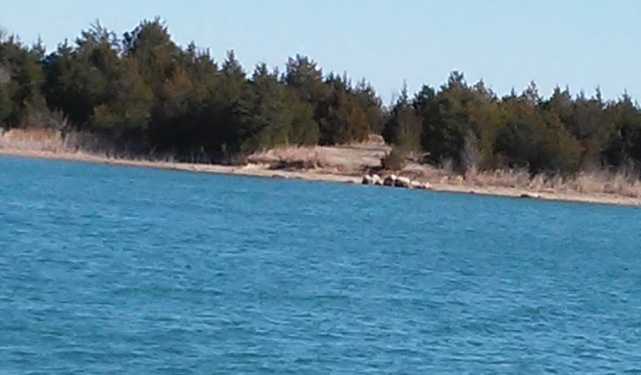 Camper-submitted photo at Marietta Landing Campground — Lake Murray State Park near Marietta, OK