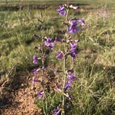 Review photo of Buffalo Lake National Wildlife Refuge by Crystal C., August 30, 2018