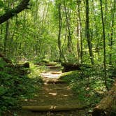 Review photo of Mathews Arm Campground — Shenandoah National Park by Susanne S., August 31, 2018