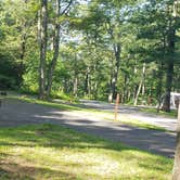 Review photo of Mathews Arm Campground — Shenandoah National Park by Susanne S., August 31, 2018