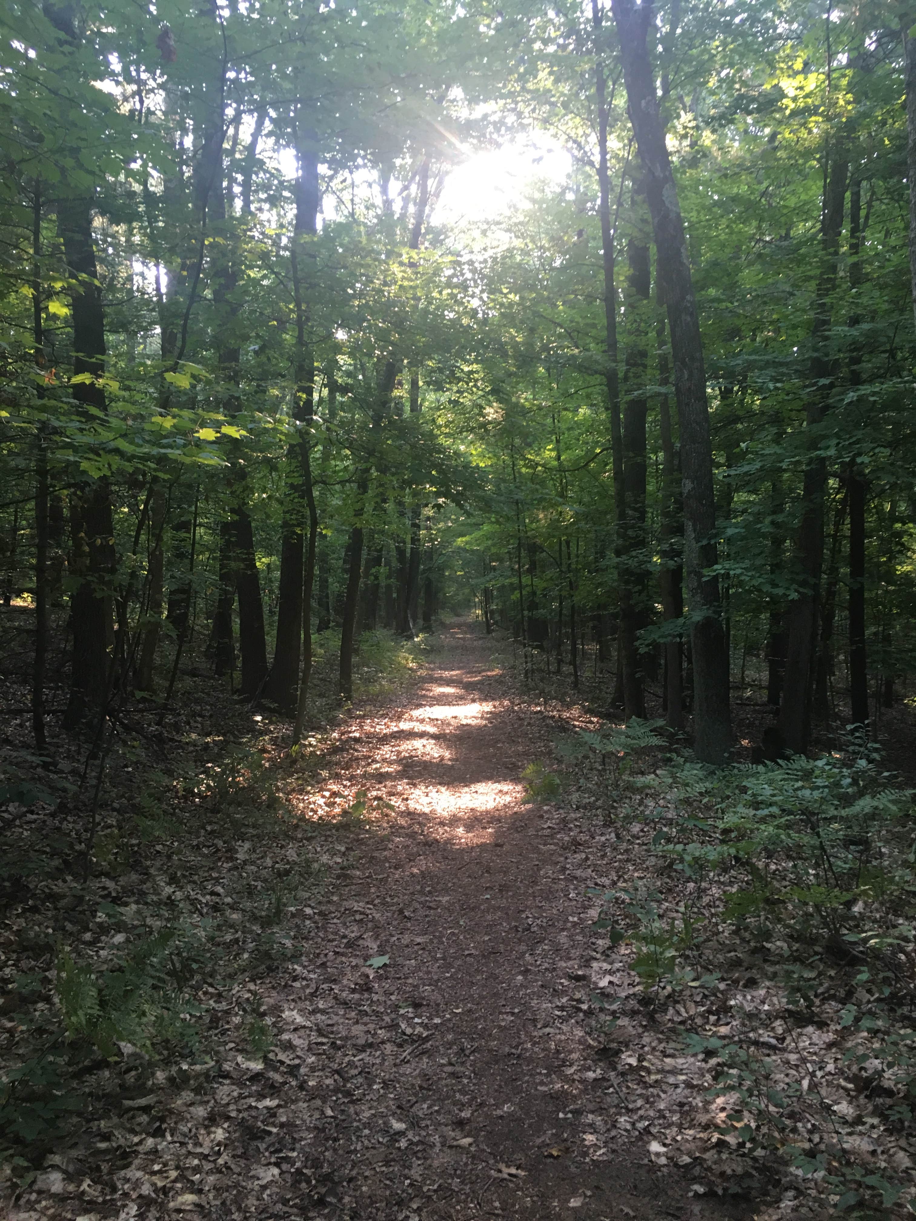 Camper-submitted photo at Twinwood Lake Campground near Newaygo, MI