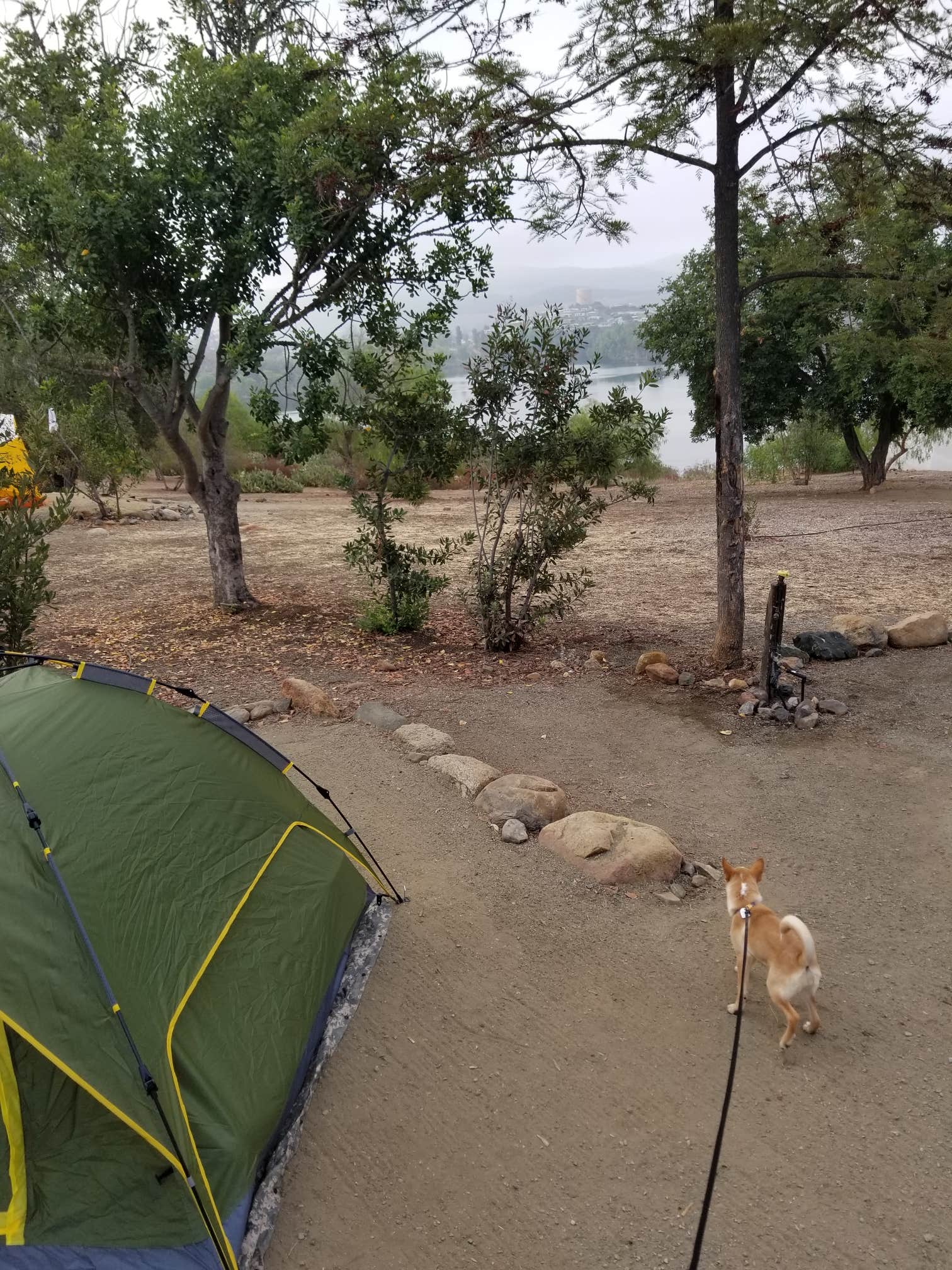 Brittnee F.'s photo at Lake Jennings near Alpine, CA